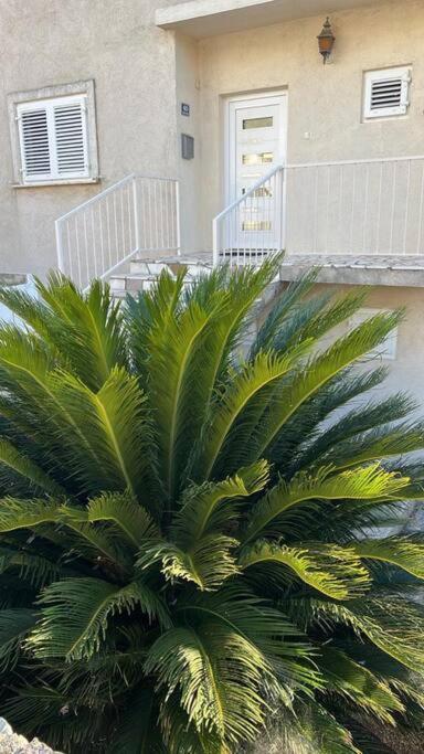 Apartment Biggy Cavtat Exterior foto